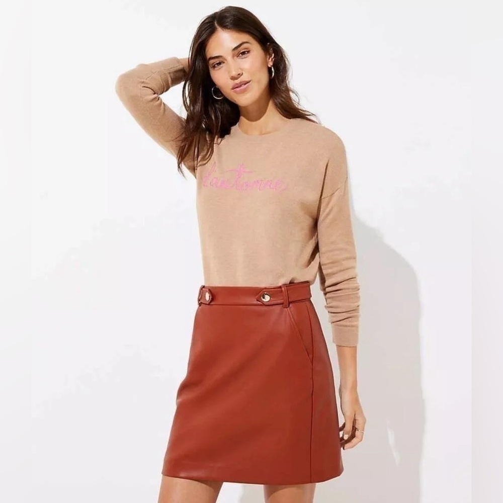 LOFT Tan and Brown Mini Skirt
